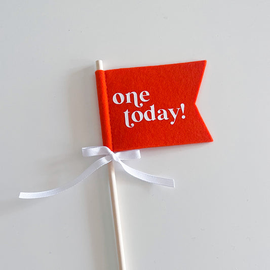 Flag wand - orange ‘one today’